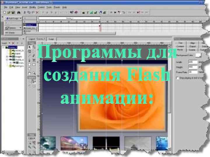 Программы для создания Flash анимации: 