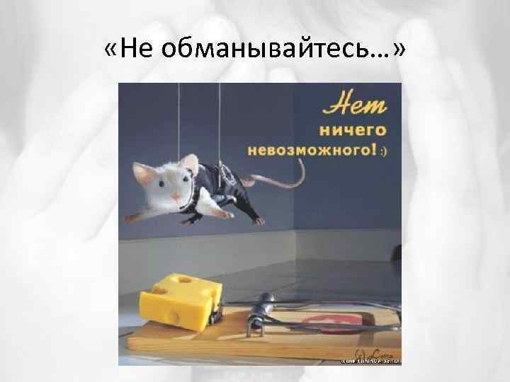  «Не обманывайтесь…» 