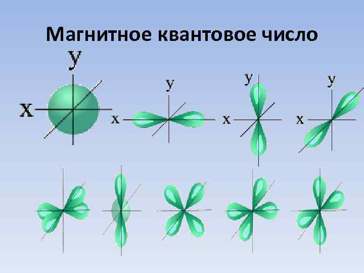 Магнитное квантовое число 