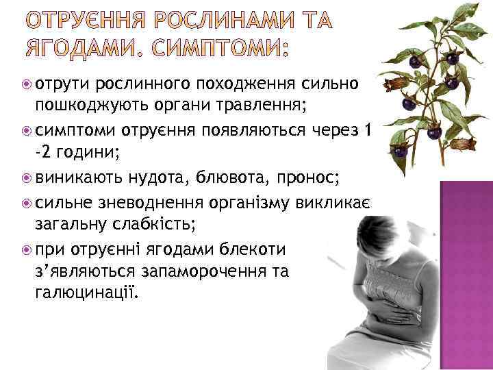  отрути рослинного походження сильно пошкоджують органи травлення; симптоми отруєння появляються через 1 -2