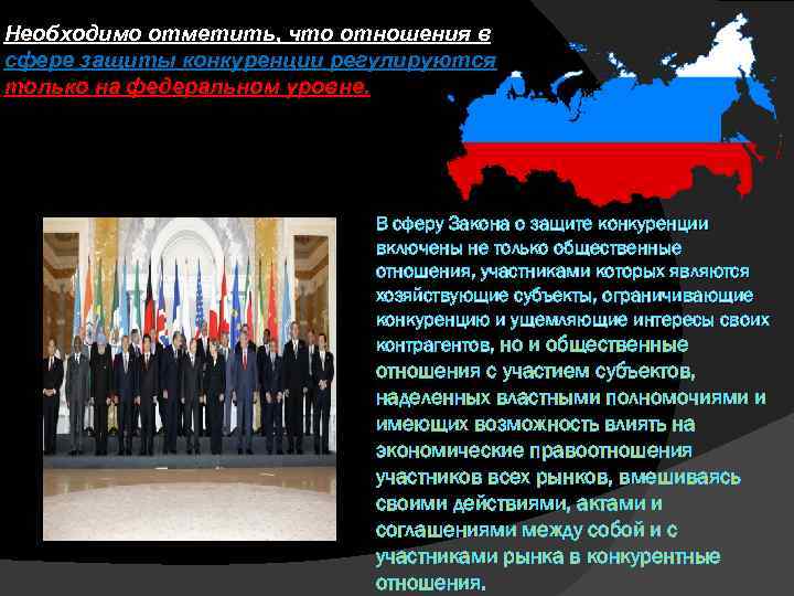 Необходимо отметить, что отношения в сфере защиты конкуренции регулируются только на федеральном уровне. В