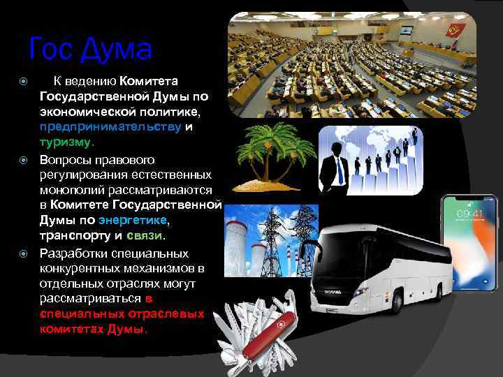 Гос Дума К ведению Комитета Государственной Думы по экономической политике, предпринимательству и туризму. Вопросы