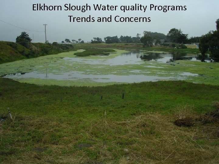 Elkhorn Slough Water quality Programs Trends and Concerns 