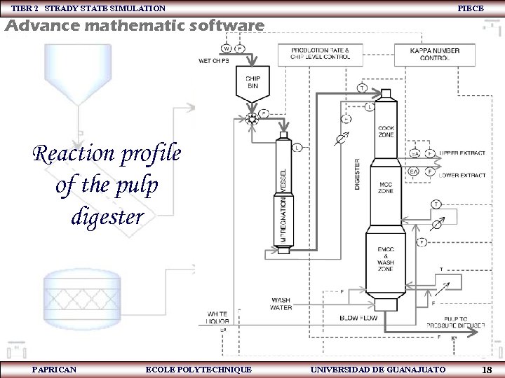 TIER 2 STEADY STATE SIMULATION PIECE Advance mathematic software Reaction profile of the pulp