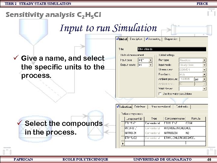 TIER 2 STEADY STATE SIMULATION PIECE Sensitivity analysis C 2 H 5 Cl Input