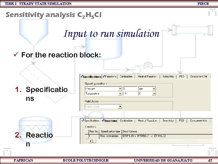 TIER 2 STEADY STATE SIMULATION PIECE Sensitivity analysis C 2 H 5 Cl Input