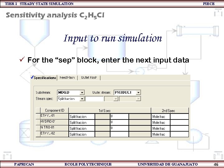 TIER 2 STEADY STATE SIMULATION PIECE Sensitivity analysis C 2 H 5 Cl Input