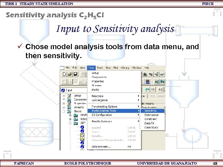 TIER 2 STEADY STATE SIMULATION PIECE Sensitivity analysis C 2 H 5 Cl Input