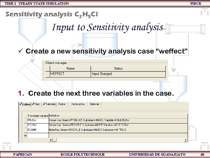TIER 2 STEADY STATE SIMULATION PIECE Sensitivity analysis C 2 H 5 Cl Input