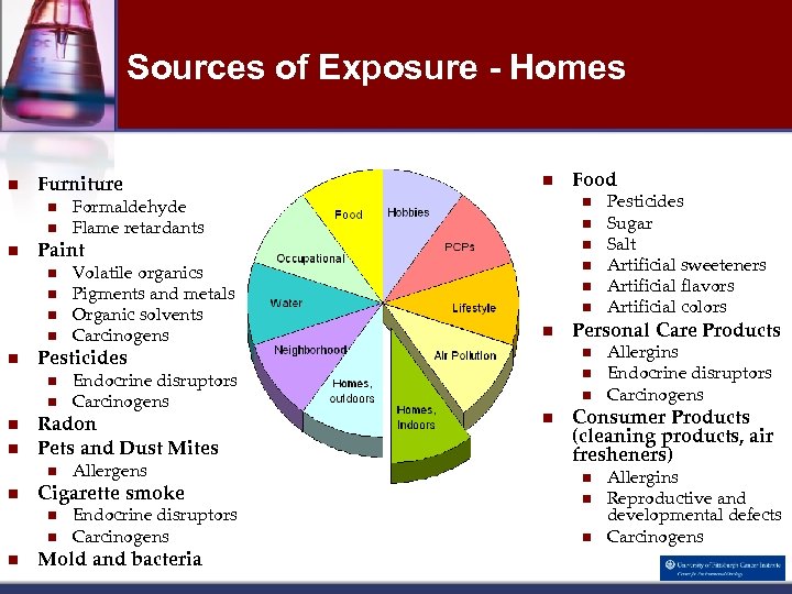 Sources of Exposure - Homes n Furniture n n n n Volatile organics Pigments