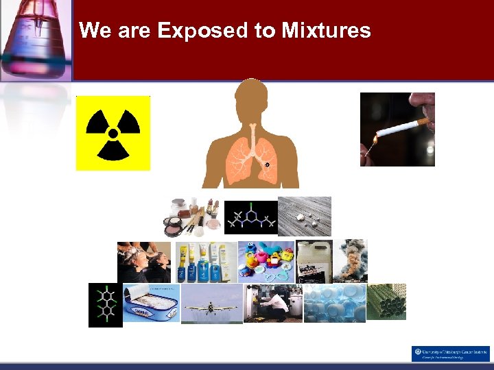 We are Exposed to Mixtures 