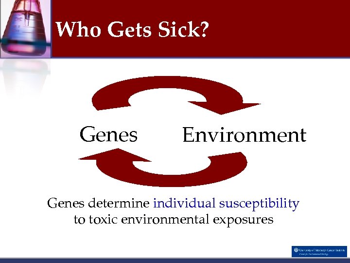 Who Gets Sick? Genes Environment Genes determine individual susceptibility to toxic environmental exposures 