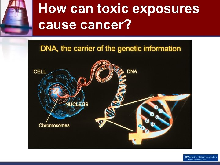 How can toxic exposures cause cancer? 