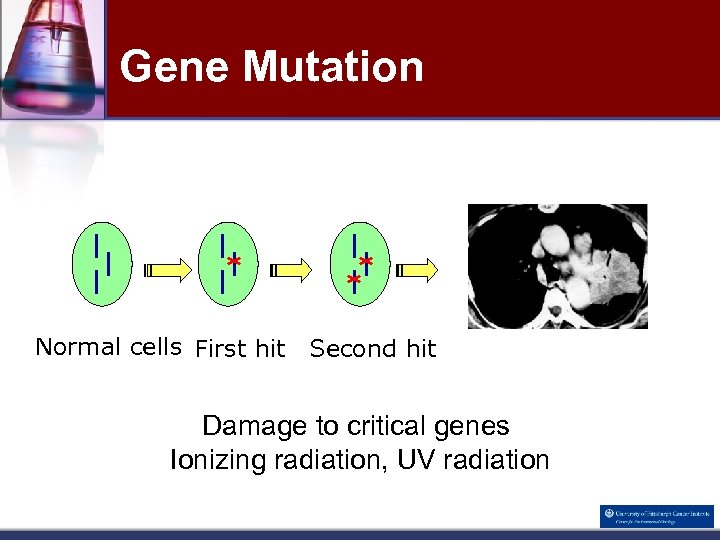 Gene Mutation Normal cells First hit Second hit • Damage to critical genes •