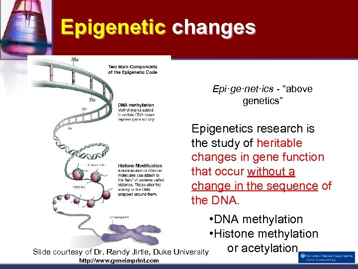 Epigenetic changes Epi·ge·net·ics - “above genetics” Epigenetics research is the study of heritable changes