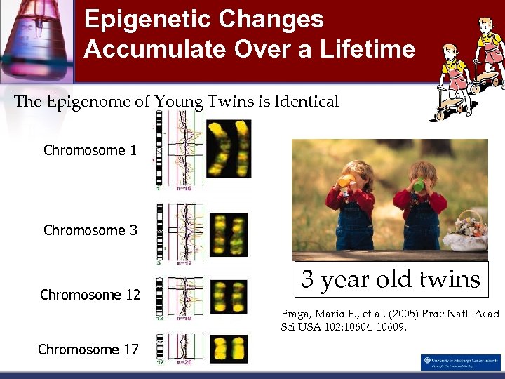 Epigenetic Changes Accumulate Over a Lifetime The Epigenome of Young Twins is Identical Chromosome