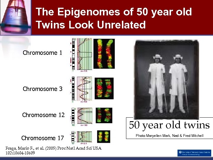 The Epigenomes of 50 year old Twins Look Unrelated Chromosome 1 Chromosome 3 Chromosome