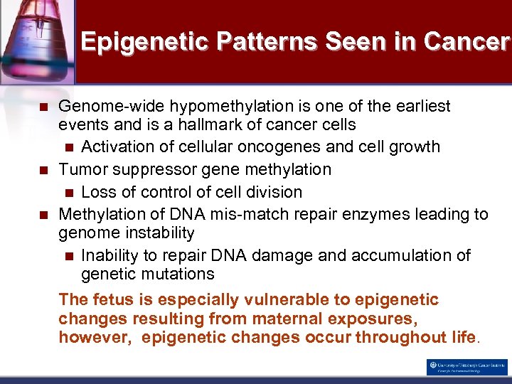 Epigenetic Patterns Seen in Cancer n n n Genome-wide hypomethylation is one of the