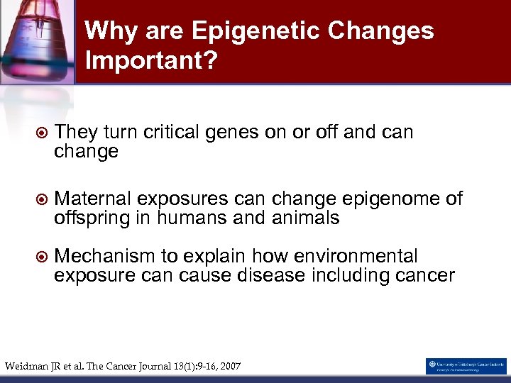 Why are Epigenetic Changes Important? They turn critical genes on or off and can