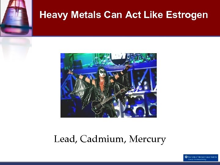 Heavy Metals Can Act Like Estrogen Lead, Cadmium, Mercury 