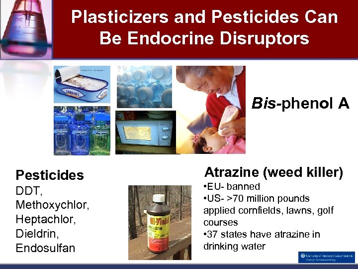 Plasticizers and Pesticides Can Be Endocrine Disruptors Bis-phenol A Pesticides DDT, Methoxychlor, Heptachlor, Dieldrin,