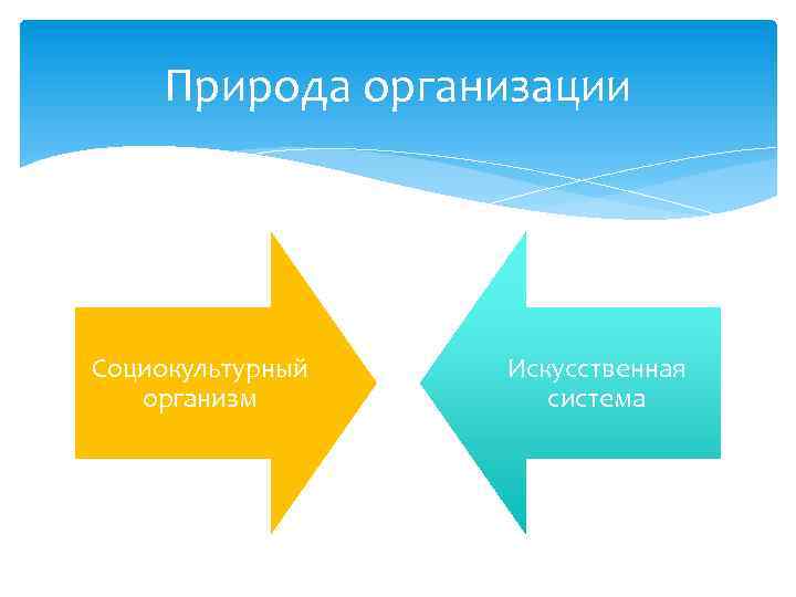 Природа организации Социокультурный организм Искусственная система 