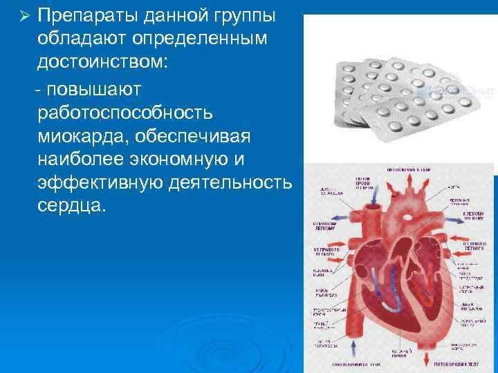 Презентация на тему сердечные гликозиды