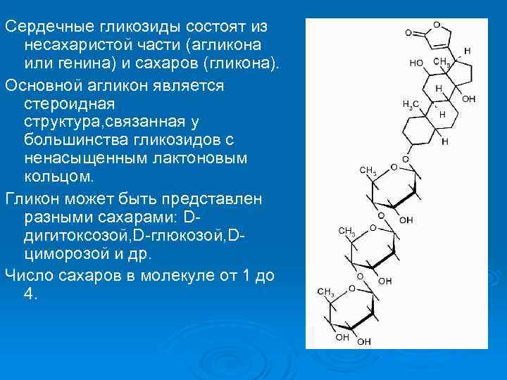 Сердечные гликозиды состоят из несахаристой части (агликона или генина) и сахаров (гликона). Основной агликон