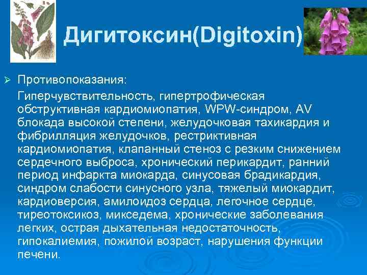 Дигитоксин(Digitoxin) Противопоказания: Гиперчувствительность, гипертрофическая обструктивная кардиомиопатия, WPW-синдром, AV блокада высокой степени, желудочковая тахикардия и