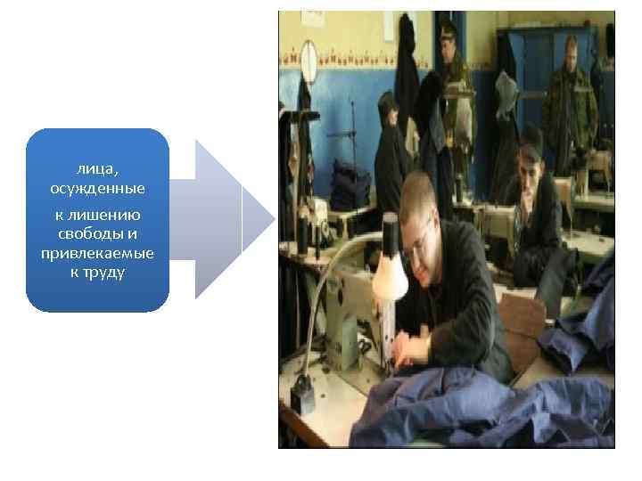 лица, осужденные к лишению свободы и привлекаемые к труду 