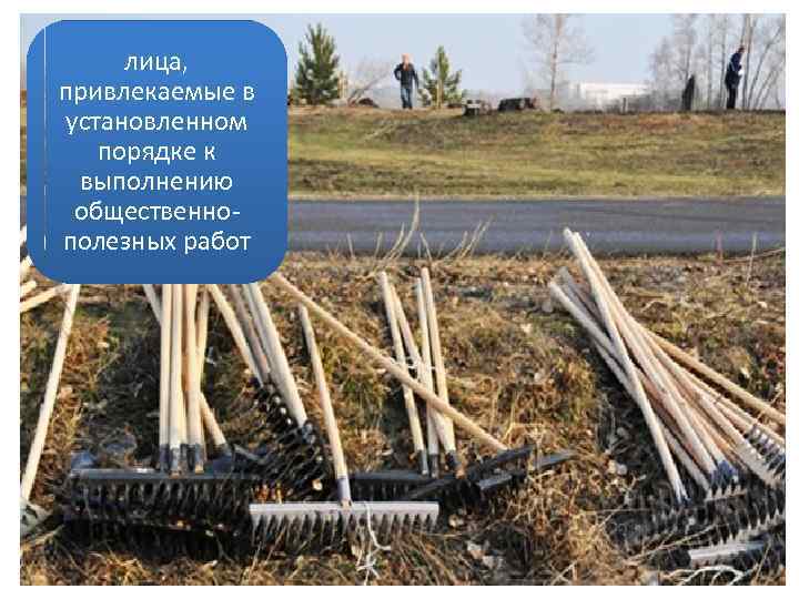 лица, привлекаемые в установленном порядке к выполнению общественнополезных работ 