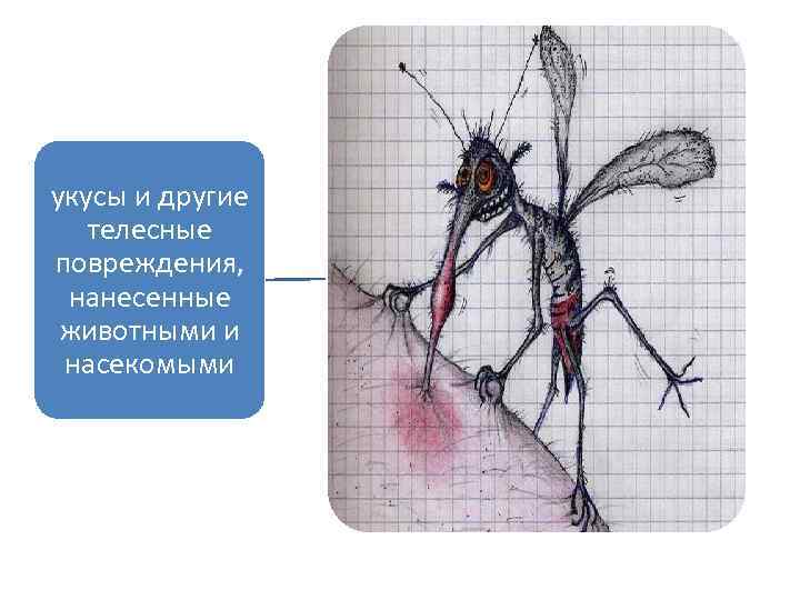 укусы и другие телесные повреждения, нанесенные животными и насекомыми 