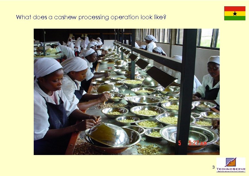 What does a cashew processing operation look like? 3 