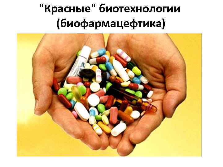"Красные" биотехнологии (биофармацефтика) 