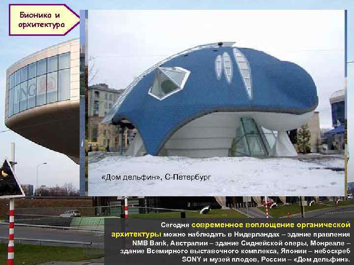 Бионика и архитектура Здание правления NMB Bank, Нидерланды Здание Сиднейской оперы, Австралия «Дом дельфин»