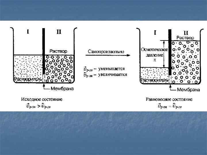 Осмотическая ячейка 