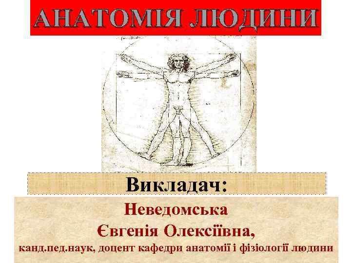 АНАТОМІЯ ЛЮДИНИ Викладач: Неведомська Євгенія Олексіївна, канд. пед. наук, доцент кафедри анатомії і фізіології
