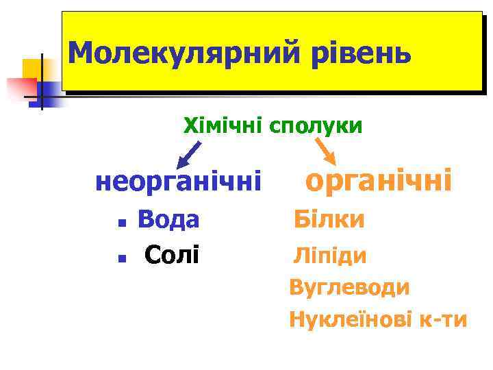 Молекулярний рівень Хімічні сполуки неорганічні n n Вода Солі органічні Білки Ліпіди Вуглеводи Нуклеїнові