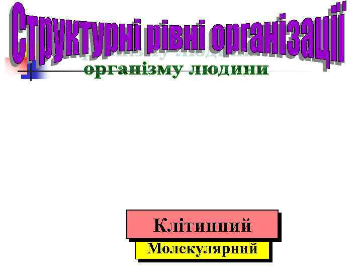 Клітинний Молекулярний 