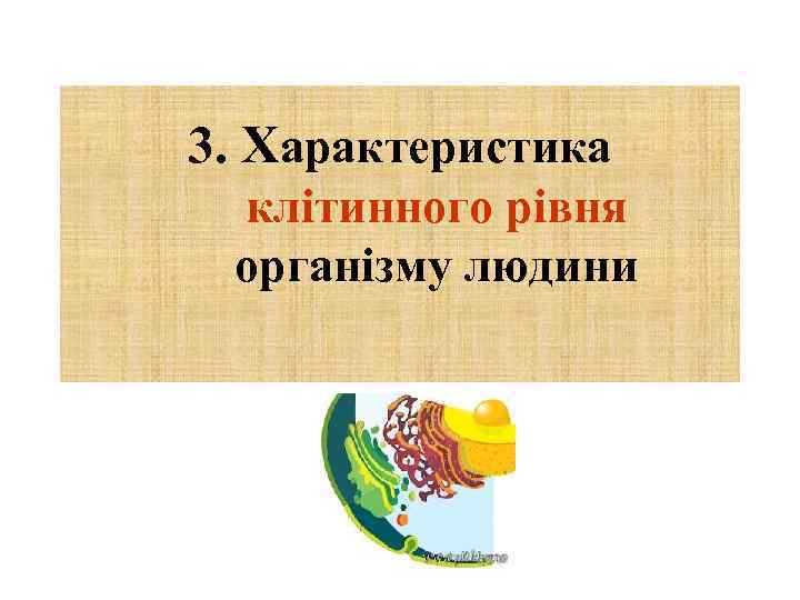 3. Характеристика клітинного рівня організму людини 