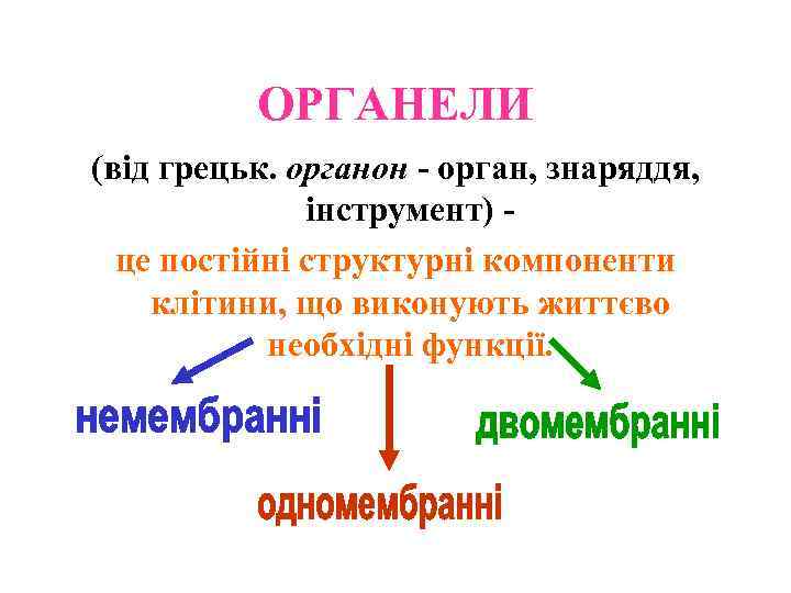 ОРГАНЕЛИ (від грецьк. органон - орган, знаряддя, інструмент) це постійні структурні компоненти клітини, що