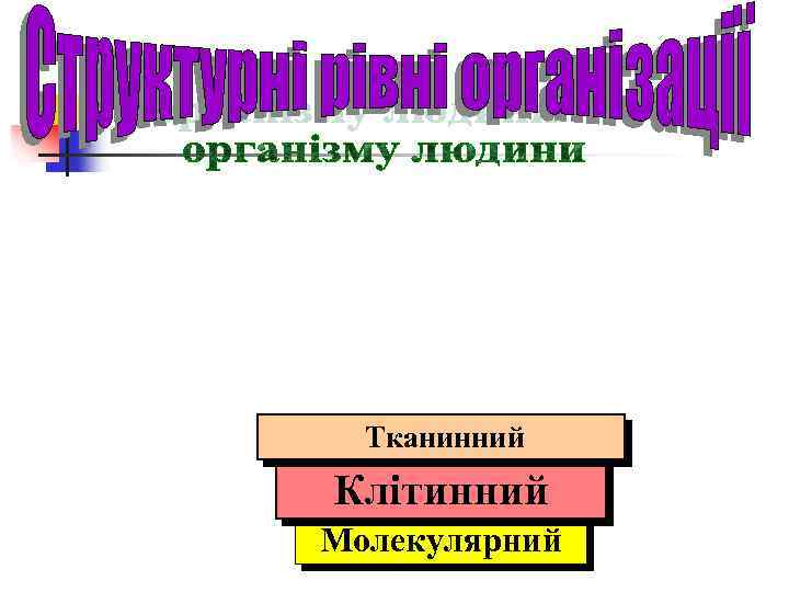 Тканинний Клітинний Молекулярний 