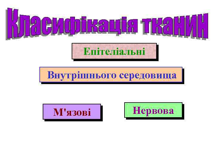 Епітеліальні Внутрішнього середовища М'язові Нервова 