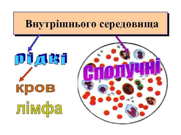 Внутрішнього середовища 
