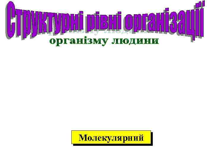 Молекулярний 