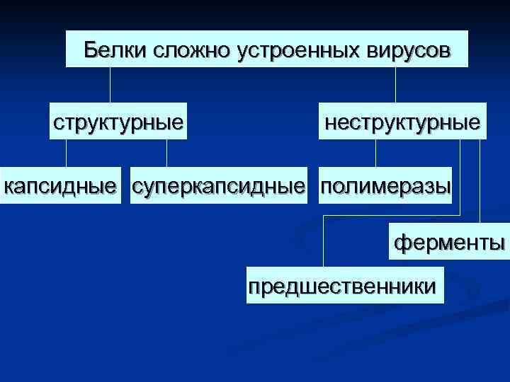 Белки сложно устроенных вирусов структурные неструктурные капсидные суперкапсидные полимеразы ферменты предшественники 
