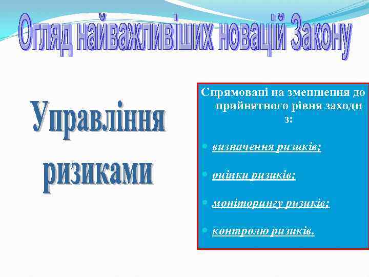 Спрямовані на зменшення до прийнятного рівня заходи з: визначення ризиків; оцінки ризиків; моніторингу ризиків;