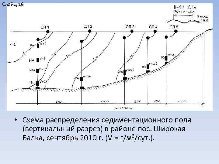 Слайд 16 • Схема распределения седиментационного поля (вертикальный разрез) в районе пос. Широкая Балка,