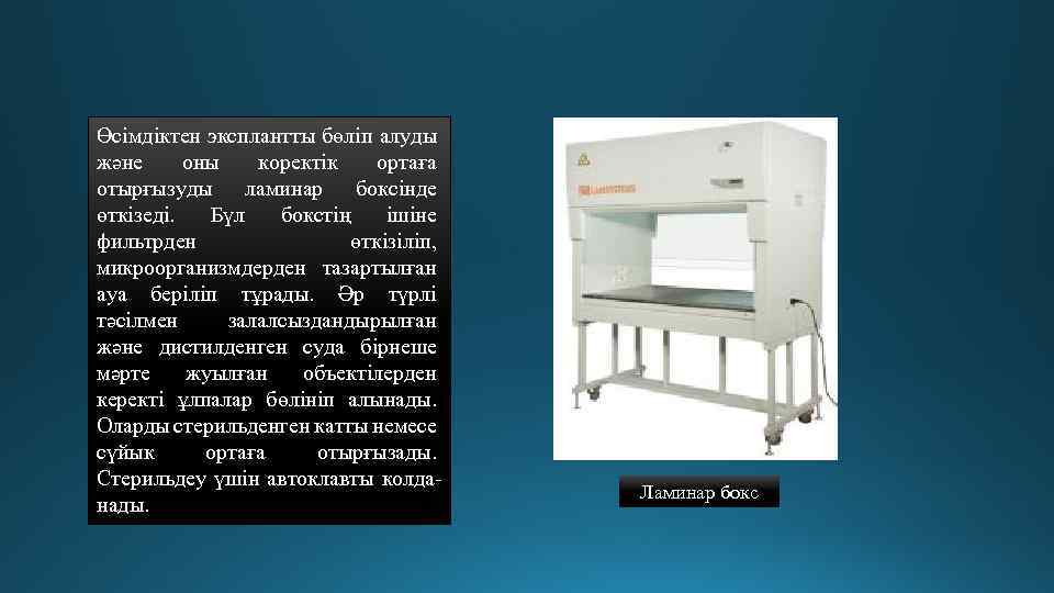 Өсімдіктен эксплантты бөліп алуды және оны коректік ортаға отырғызуды ламинар боксінде өткізеді. Бүл бокстің