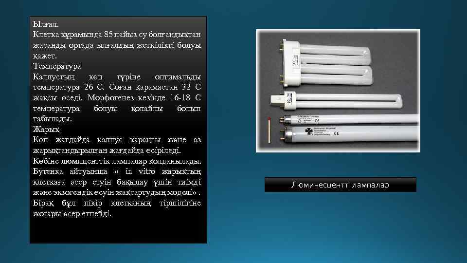 Ылғал. Клетка құрамында 85 пайыз су болғандықтан жасанды ортада ылғалдың жеткілікті болуы қажет. Температура